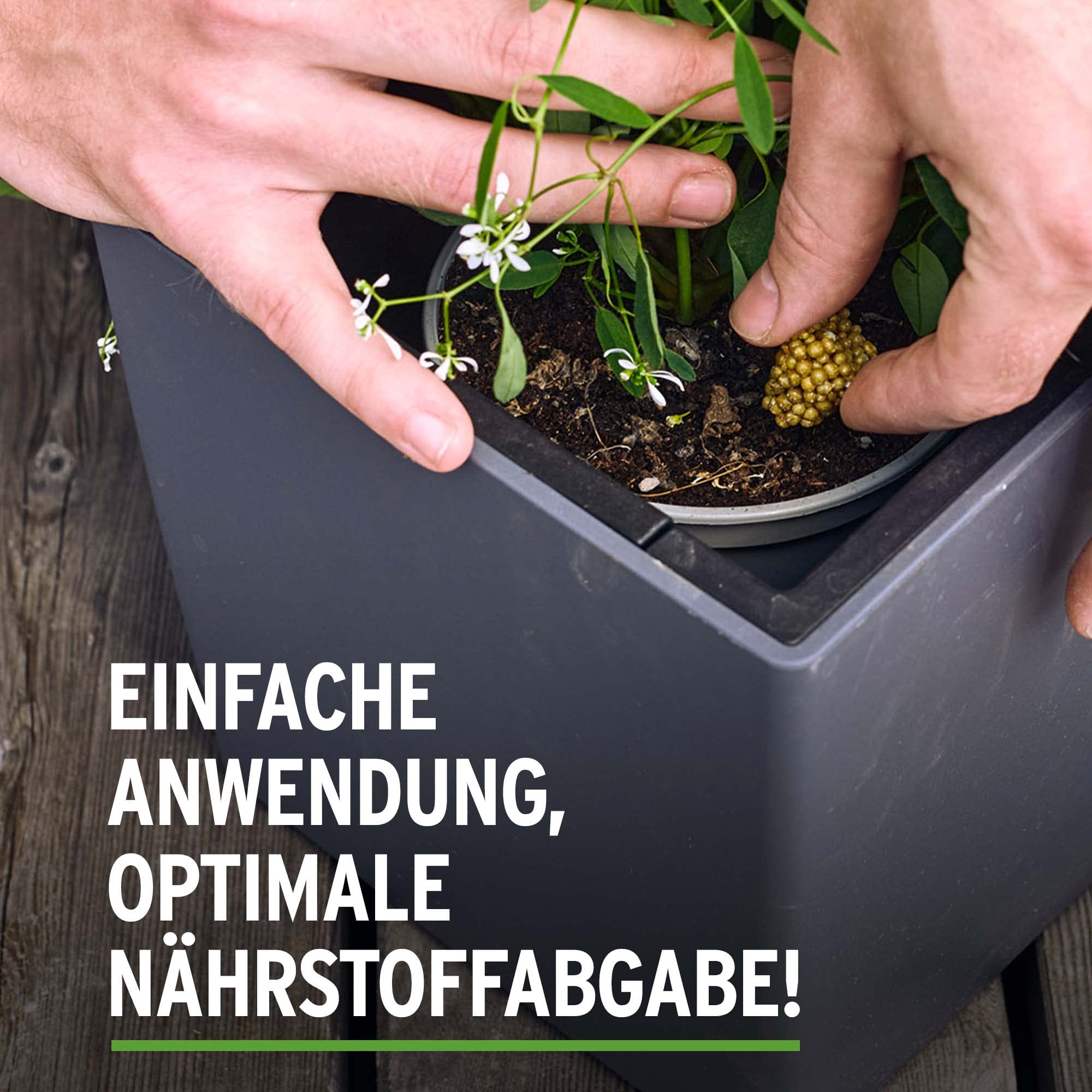 aloe apotheke Aloe Vera Gel – 100% Feuchtigkeit [Kühlend & Pur] main image 0