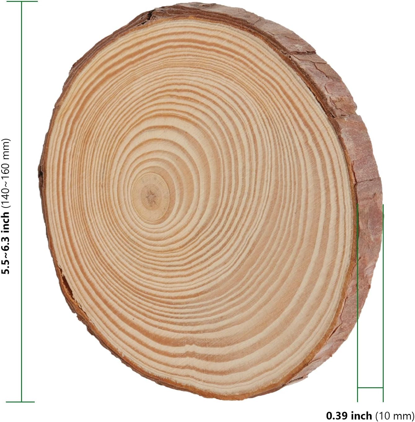 HAKZEON 20 PCS 14-16cm Natural Wood Slices - Image 3