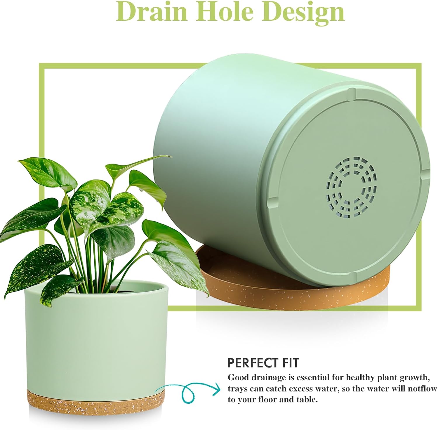 Large Plant Pots Set of 3 – 8", 9", 10" Indoor Flower Pots with Drainage Holes and Saucers, Big Planters for Monstera, Fiddle Leaf Fig, Snake Plant – 5 Colors