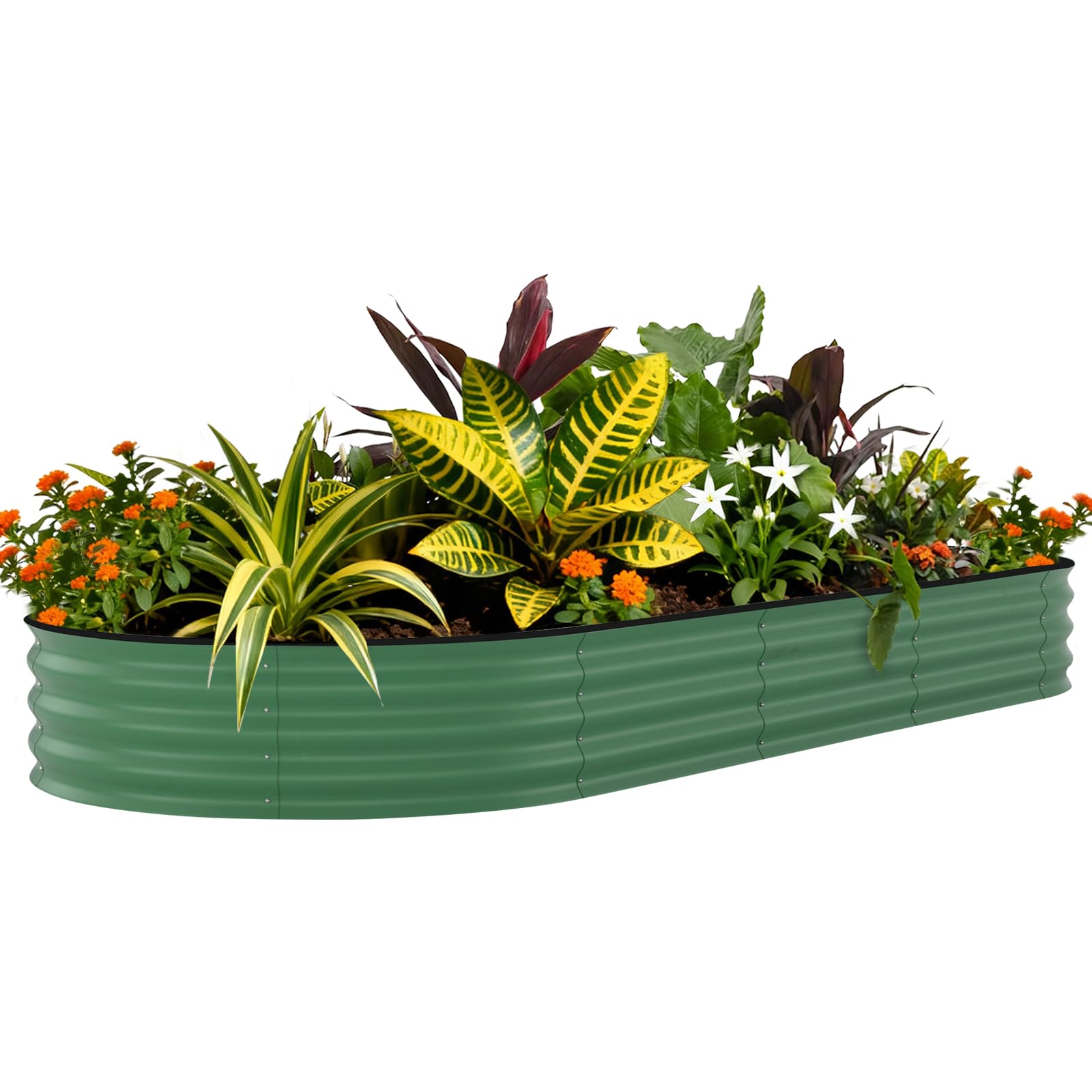 240×120×45cm Metal Raised Garden Bed, Heavy Duty Galvanised Steel Planter Box for Vegetables, Flowers & Herbs, Rust-Resistant Outdoor Planters with Safety Edging & Support Bars, Open-Bottom Design