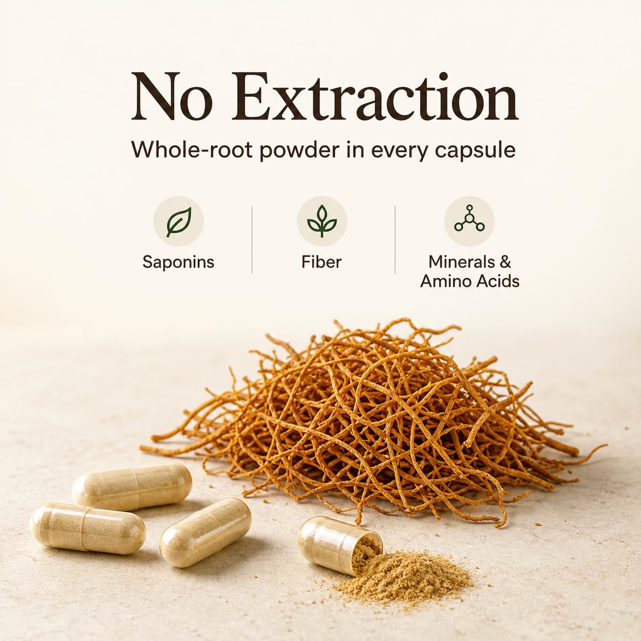 The Root Original Integratore di Ginseng Rosso Coreano Panax - 1100% Polvere di Radice Intera Fine con Fibre Naturali e Minerali - Resistenza, Benessere e Immunità Senza Caffeina - 60 Capsule