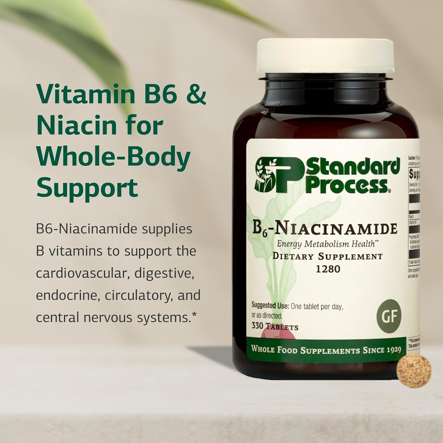 Standard Process B6-Niacinamide Energy Metabolism Health Dietary Support - Gluten-Free, Non-Dairy & Non-Soy - Cardiovascular Support - 330 Tablets