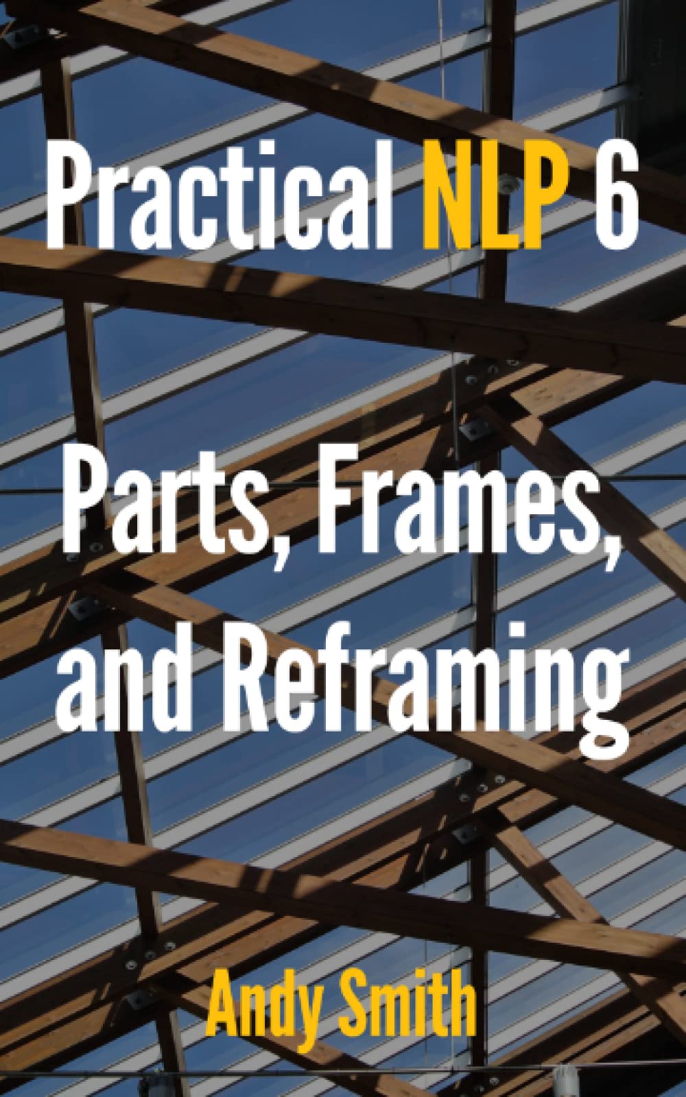 Practical NLP 6: Parts, Frames, and Reframing Paperback – August 3, 2022