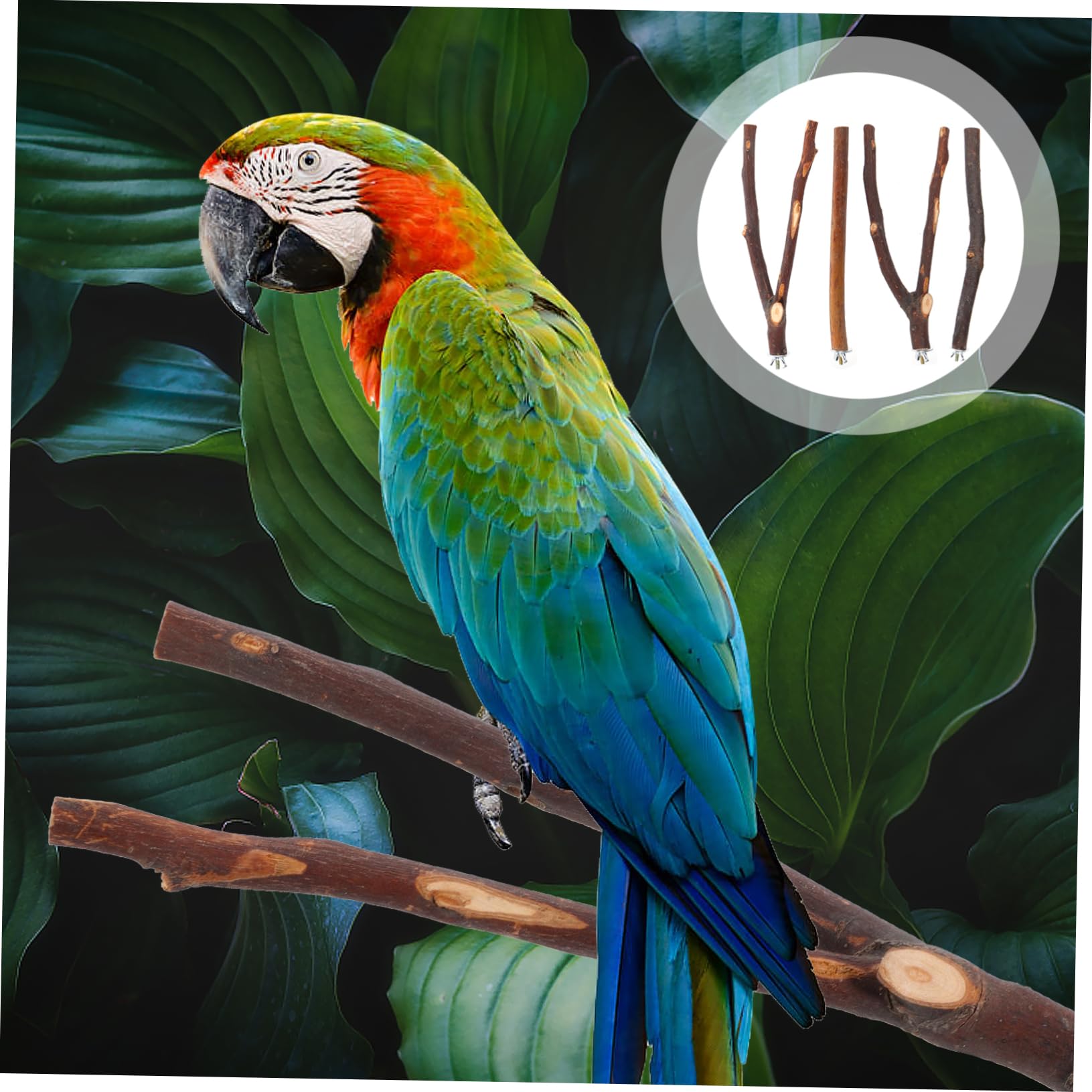 Milisten 4Pcs Bird Perch Stand Natural Wood Climbing Branch for Parakeets and Parrots Chewing for Budgies and Lovebirds Bird Cage Accessories