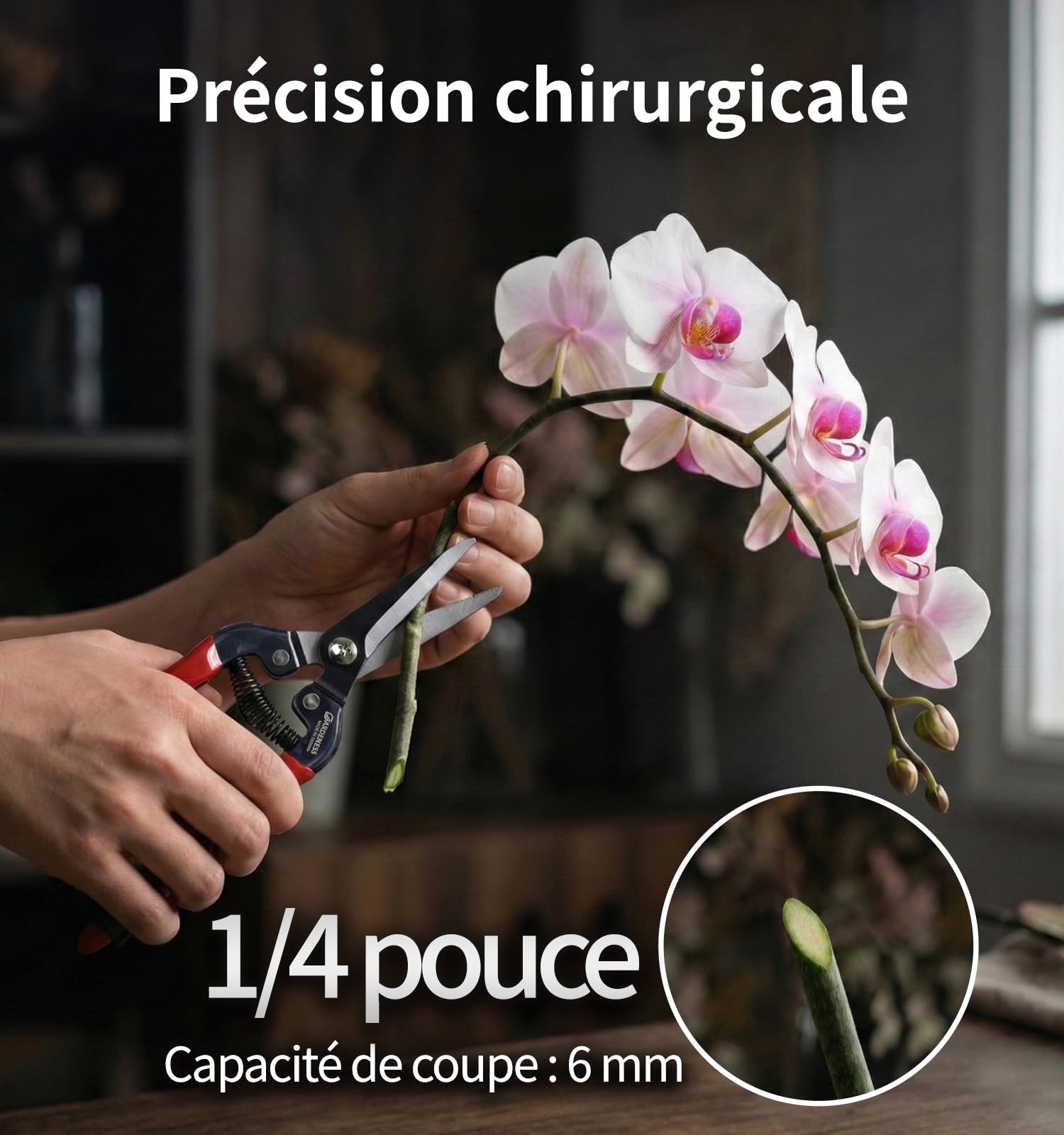 Gardeness – Sécateur droit en acier SK5, ciseaux de jardin ultra tranchants pour plantes, fleurs, fruits, bonsaï – ciseau de jardinage multifonction durable et sans effort