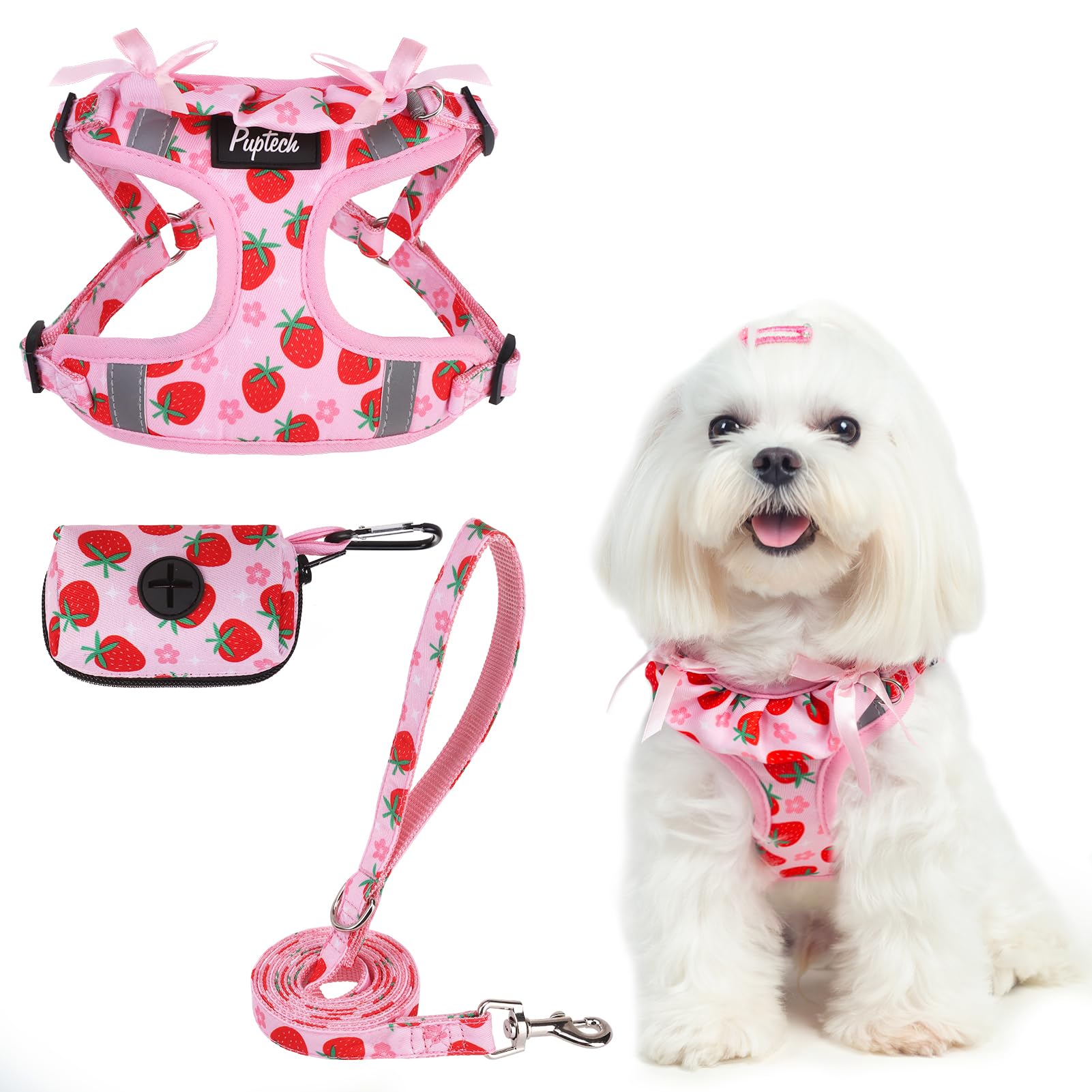 PUPTECK Dog Harness and Leash Set Small Sized, Step in No Pull Adjustable Puppy Cat Harness Reflective Pet Vest