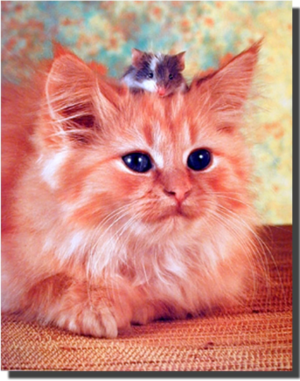Amazon Com Cute Cat And Mouse Best Friends Funny Animal Wall Decor Art Print Poster 16x Cat Mouse Picture Frame Posters Prints Amazon Com Cute Cat And Mouse Best Friends Funny Animal Wall Decor Art Print Poster 16x Cat Mouse Picture Frame Posters Prints
