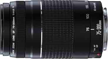 Canon EF 75-300mm 1:4-5.6 Ⅲ Canon EF 75-300mm f/4-5.6 III Telephoto Zoom Lens for EOS