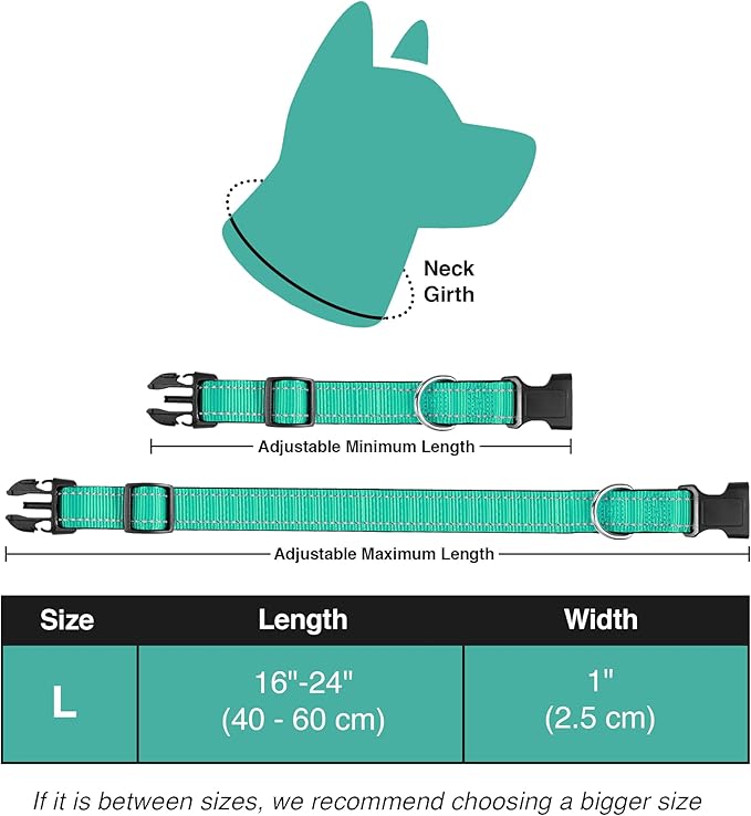 Collar reflectante ajustable para perro, nylon, teal, talla M-L miniatura 7