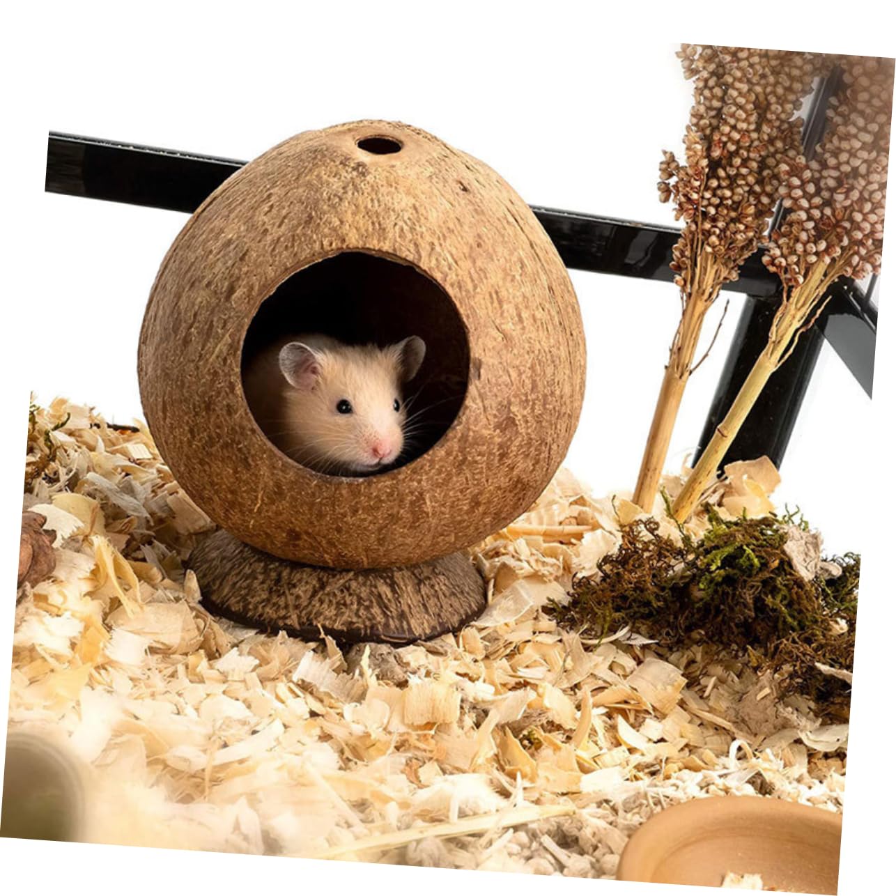 COLLBATH Zartes Hamsterversteck Kokosnusshaus 2 Stück aus Kokosschale