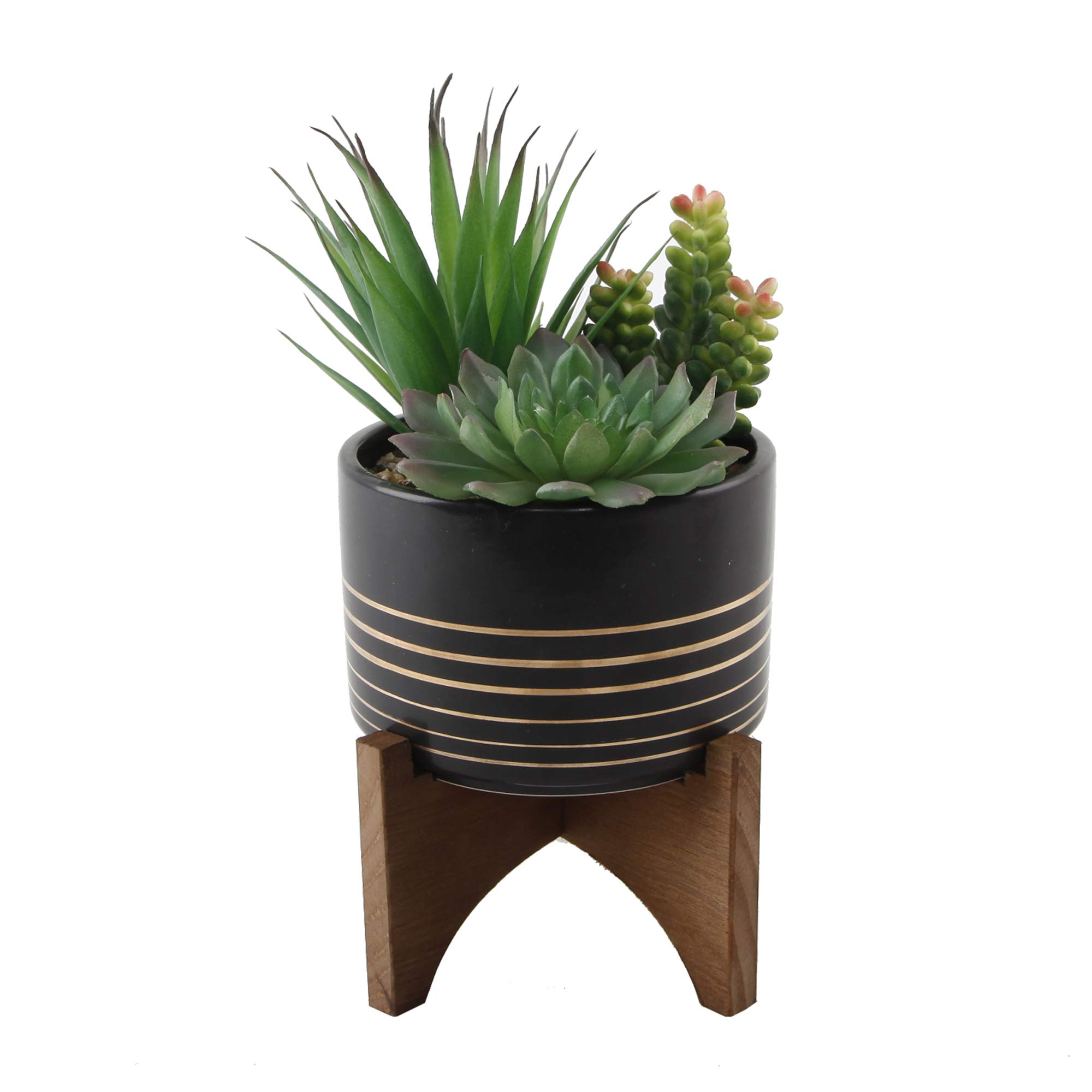 Buy Flora Bunda Artificial Succulent Faux 5.25" Succulent Mix in Black