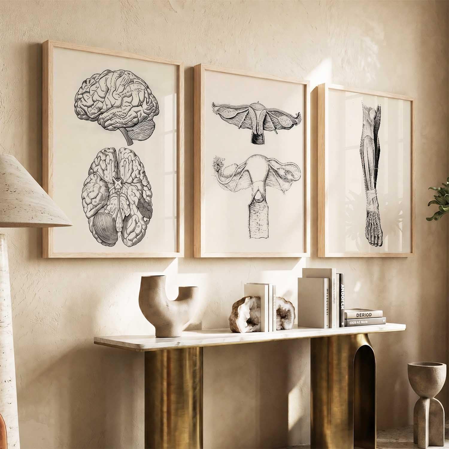 Floral Chiropractic Wall Art Posters - Set of 3 -11 Floral Chiropractic Wall Art Posters - Set of 3 -11