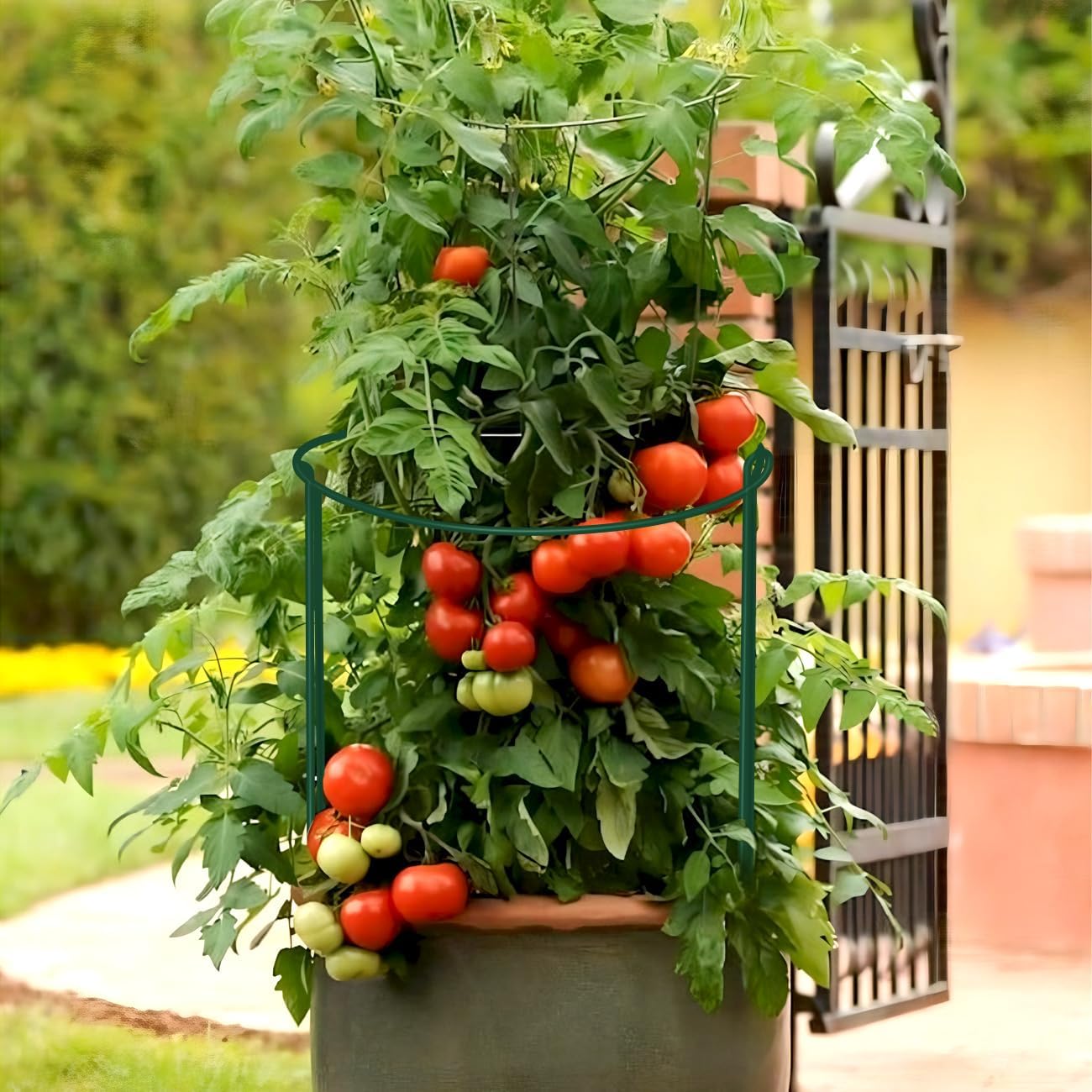 12 Pack Plant Support Stakes, 10" Wide x 16" High Half Round Metal Peony Cages and Support, Green Garden Plant Stake Plant Support Ring Border for Peony Tomato, Hydrangea, Flower Indoor Outdoor