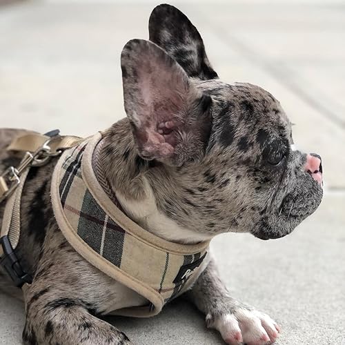 Miniatura 8 de Pupteck - Arnés para perro de malla suave chaleco con relleno cómodo para cachorros perros y gatos evita los tirones