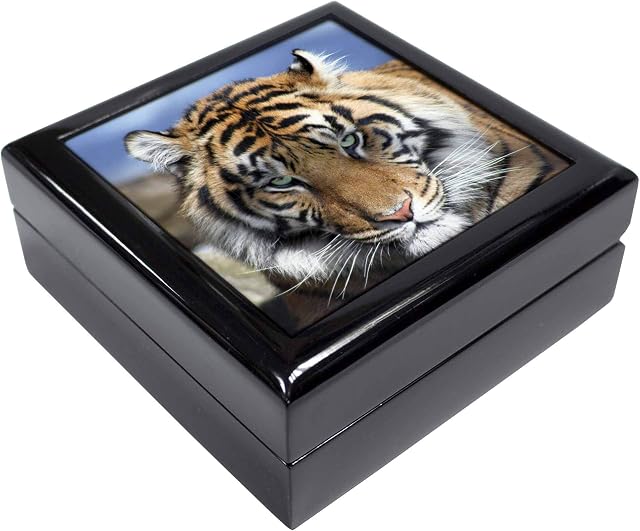 Advanta Group Bengal Tiger Keepsake/Jewellery Box