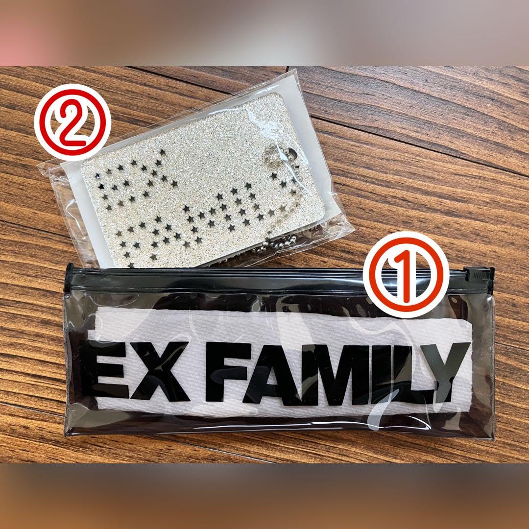 Amazon.co.jp: EXILEfamily/ファンクラブ限定グッズ : おもちゃ
