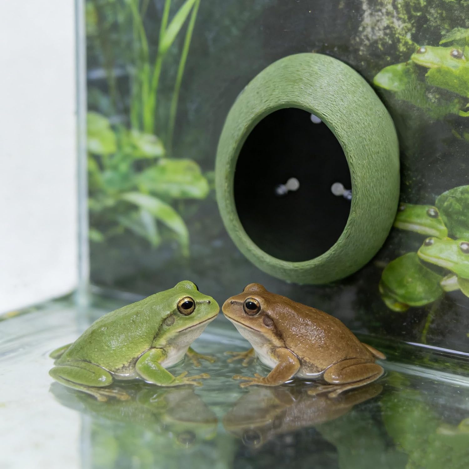 3D Printed Egg Shape Reptile Hide with Suction Cup, PLA Terrarium Climbing & Hiding Cave for Tree Frog, Gecko Bearded Dragons and Small Pets