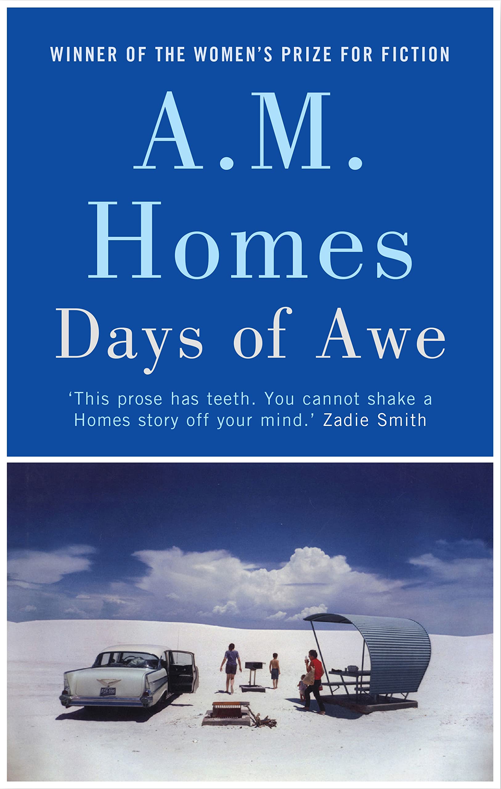 Days of Awe: A.M. Homes