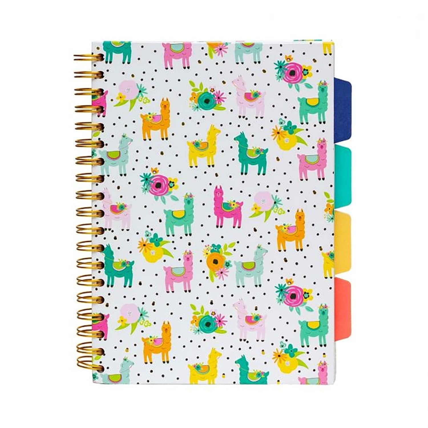 Pukka Pad B5 Size Single Line Ruled Subject Book 200 Pages 5 Subject Book Colour Coded Dividers with Storage Pockets Hardback Cover Stylish High End Design College Multi Subject Book Perforated Pages Colour Wash Series
