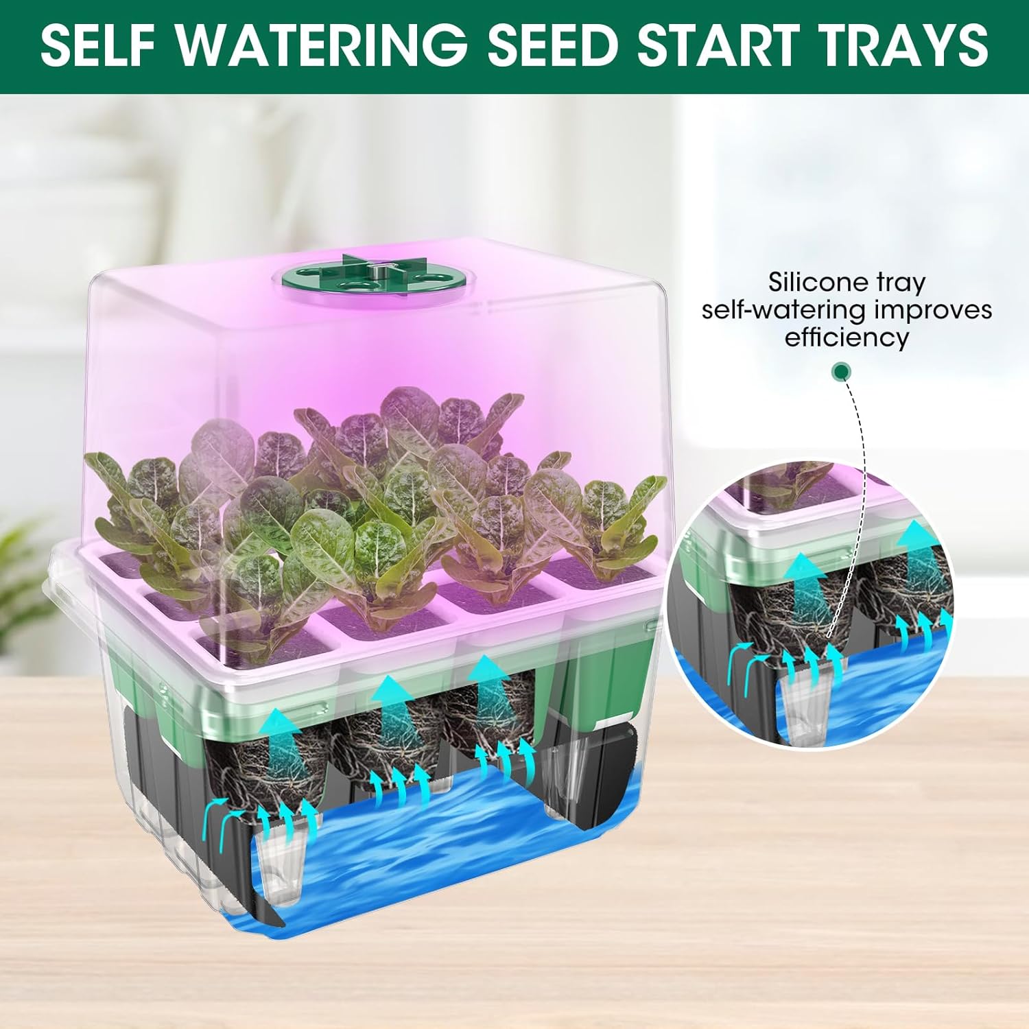 60-Cell Self Watering Seed Starter Tray with Grow Light, 5-Pack Reusable Seed Starter Kit with Soft Silicone, Plant Germination Trays with Humidity Dome for Seeding Planting Growing