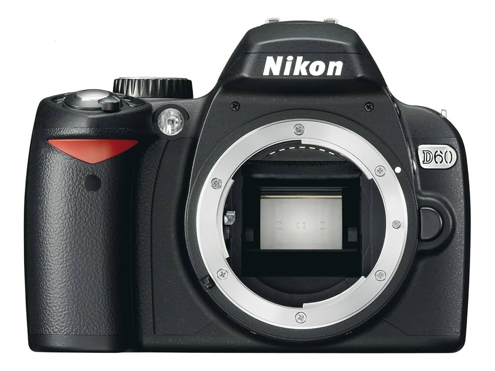 5117 初心者 デジタル一眼レフカメラ ニコン NIKON D60 10年前のカメラを使う：Nikon D60 - Capture Kyoto