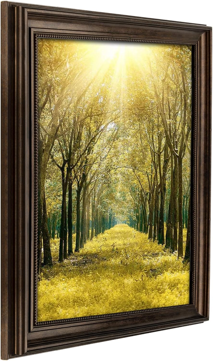 https://m.media-amazon.com/images/I/71PLEk-sKML._AC_SL1500_.jpg