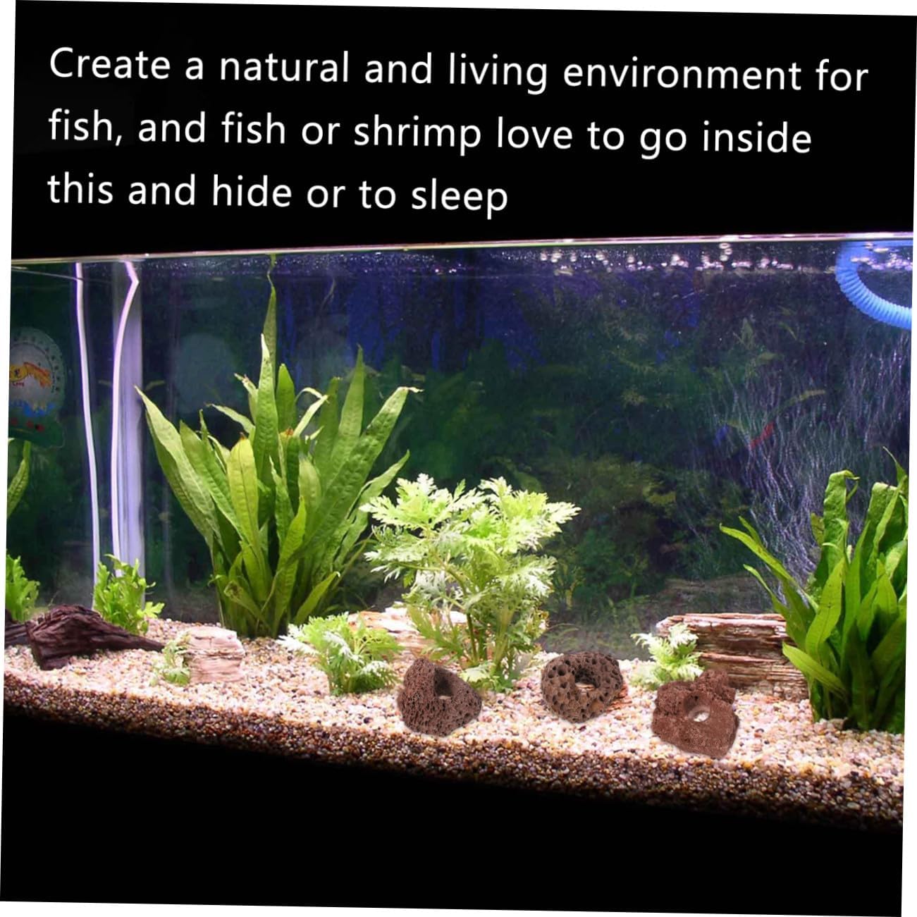 Toddmomy Volcanic Rock Aquarium Decor 10pcs 5-6cm Fish Tank Habitat Stone Cave Natural Fish Shelter for Aquascaping and Planted Aquarium Accessories