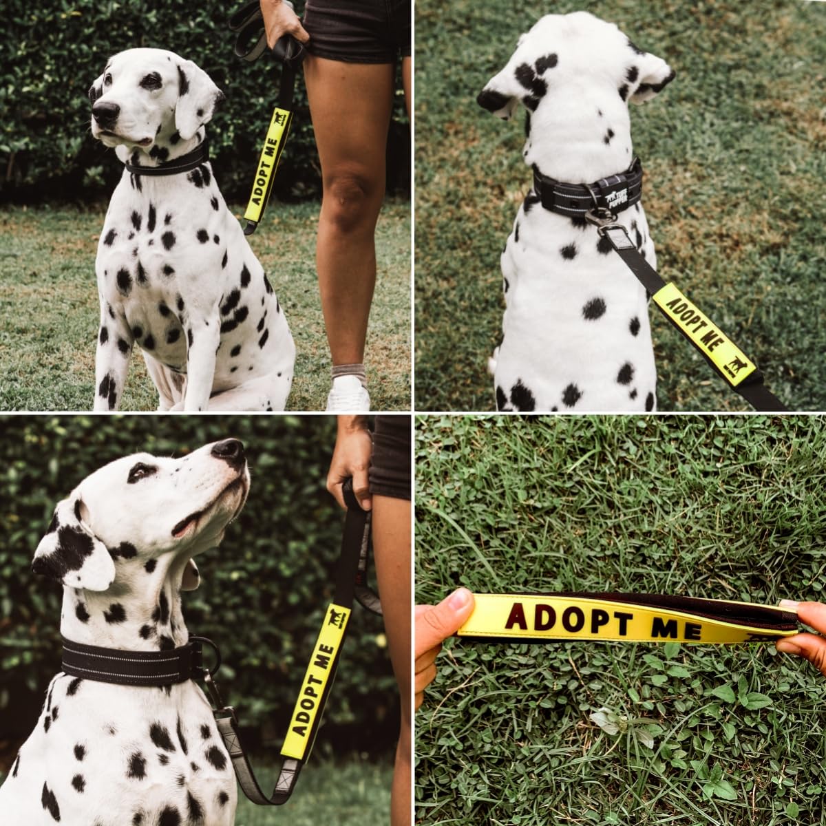 Tuff Pupper Waterproof Leash Sleeve | Fits Any Standard Size 1 Inch Wide Leash | Dual Sided Message | Durable Neoprene & Silicone | Odor & Stink Proof | Easy Secure On & Off (1 Pack, Adopt Me) - 4