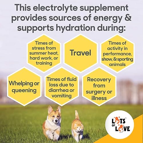 Miniatura 5 de HydrADE - Electrolitos para la deshidratación de perros y gatos - Hidratación para perros y gatos - Productos para mascotas con mucho amor (8 onzas)