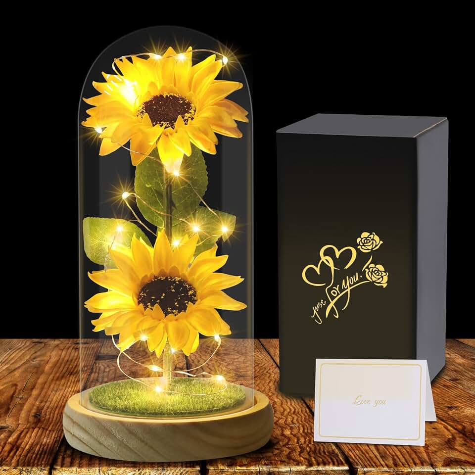 Girasole Eterno Touloube