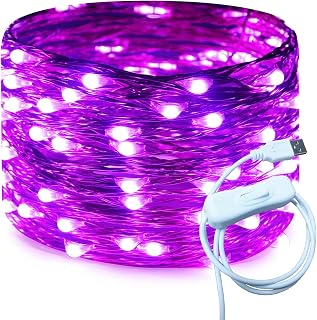 RUICHEN Copper Wire 33 Ft 100 LED USB Fairy String Lights with On/Off Switch, Purple