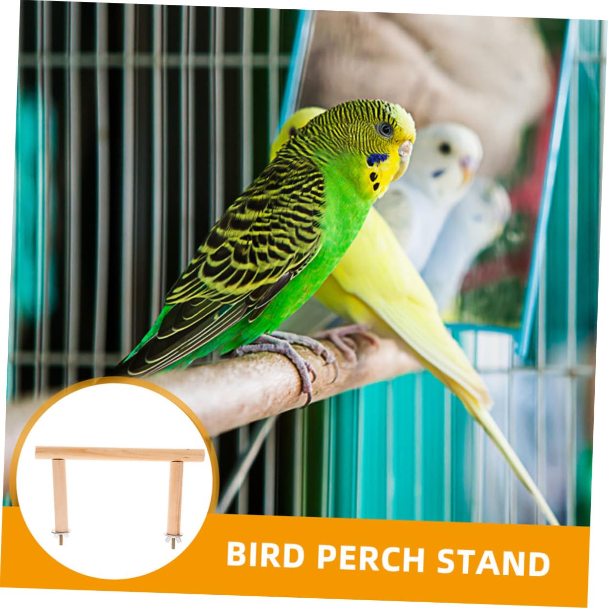 VANZACK 6pièces Perchoir pour Oiseaux Naturel Support pour Perruches Et Perroquets Accessoire De Cage à Oiseaux