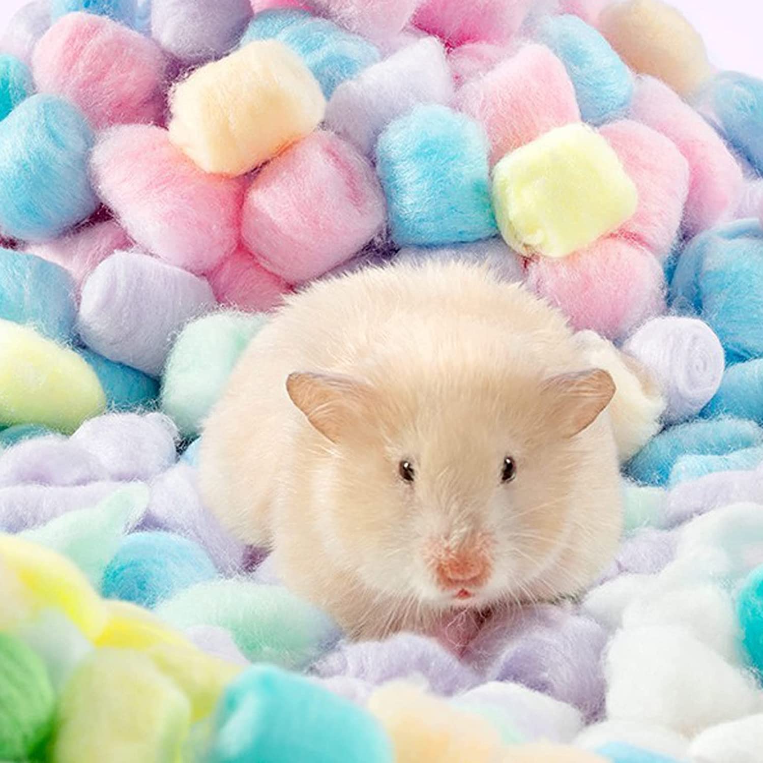 Amazon.co.jp: ハムスター 綿 カラフル マット ハムスター 床材