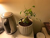 Review Image by Montana