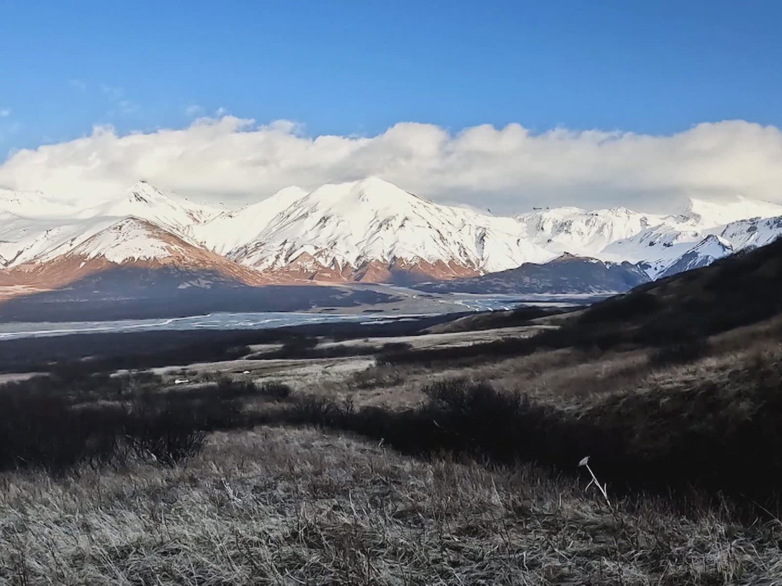 Watch Nick's Wild Ride with Nick Hoffman Season 7 Prime Video