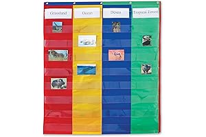 2&4 Columns Double-sided Pocket Chart |30''L x 38''H|Back-to-School Must-Have|Classroom Organization Tool|Teacher supplies