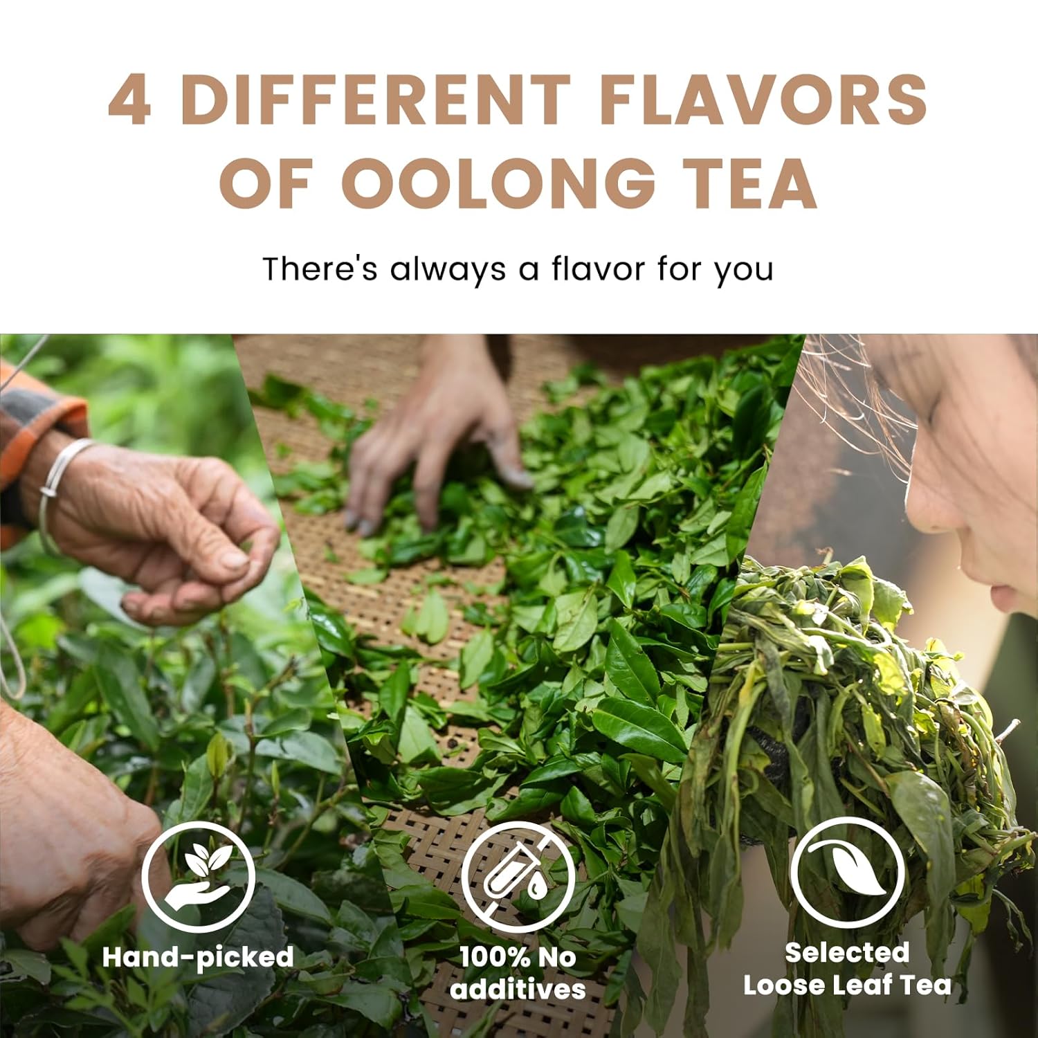 iTeaworld 4 Flavors Oolong Tea Sampler, Loose Leaf Tea Sampler( Tieguanyin Oolong, Dahongpao, Fenghuang Dancong ect.), No Sweetener, Perfect Tea Bags Variety Pack Gift Set, High to Low Caffeine, Up to 112 Cups, 2.1OZ