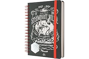Disney 100 Diary 2023-2024 | Mid Year Academic Planner