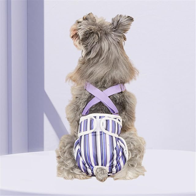 Foto 7 de 8 de NONGYU Pantalones fisiológicos unisex para mascotas, ropa interior, correas de pañales
