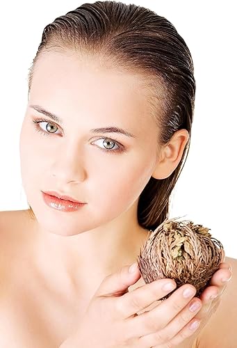 Miniatura 3 de TWO - Flor de Jericó I Tamaño Mediano | Flor de Jericó - Planta de Resurrección | Selaginella Lepidophylla | Rosa Seca I Doradilla | 3''' - 4'' cada