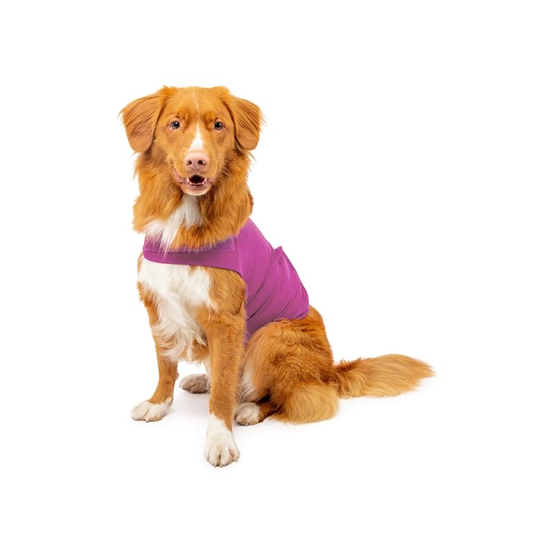 Colete ajustável para cães Mellow Shirt com pressão suave, Radiant Orchid, tamanho Pequeno