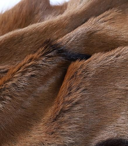 Miniatura 5 de Piel de cabra real, piel de cabra, piel de cabra, piel de cabra, 2 unidades, Marrón oscuro