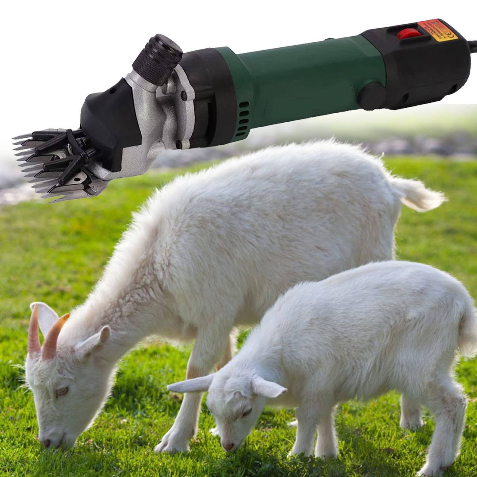 Thumbnail