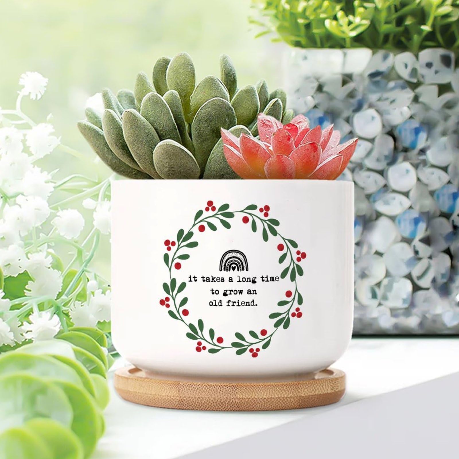 Yelolyio It Takes A Long Time to Grow An Old Friends Planters Ceramic Family Prayer Round Flower Pot With Drainage Holes And Bamboo Tray Pot For Home Office Decoration