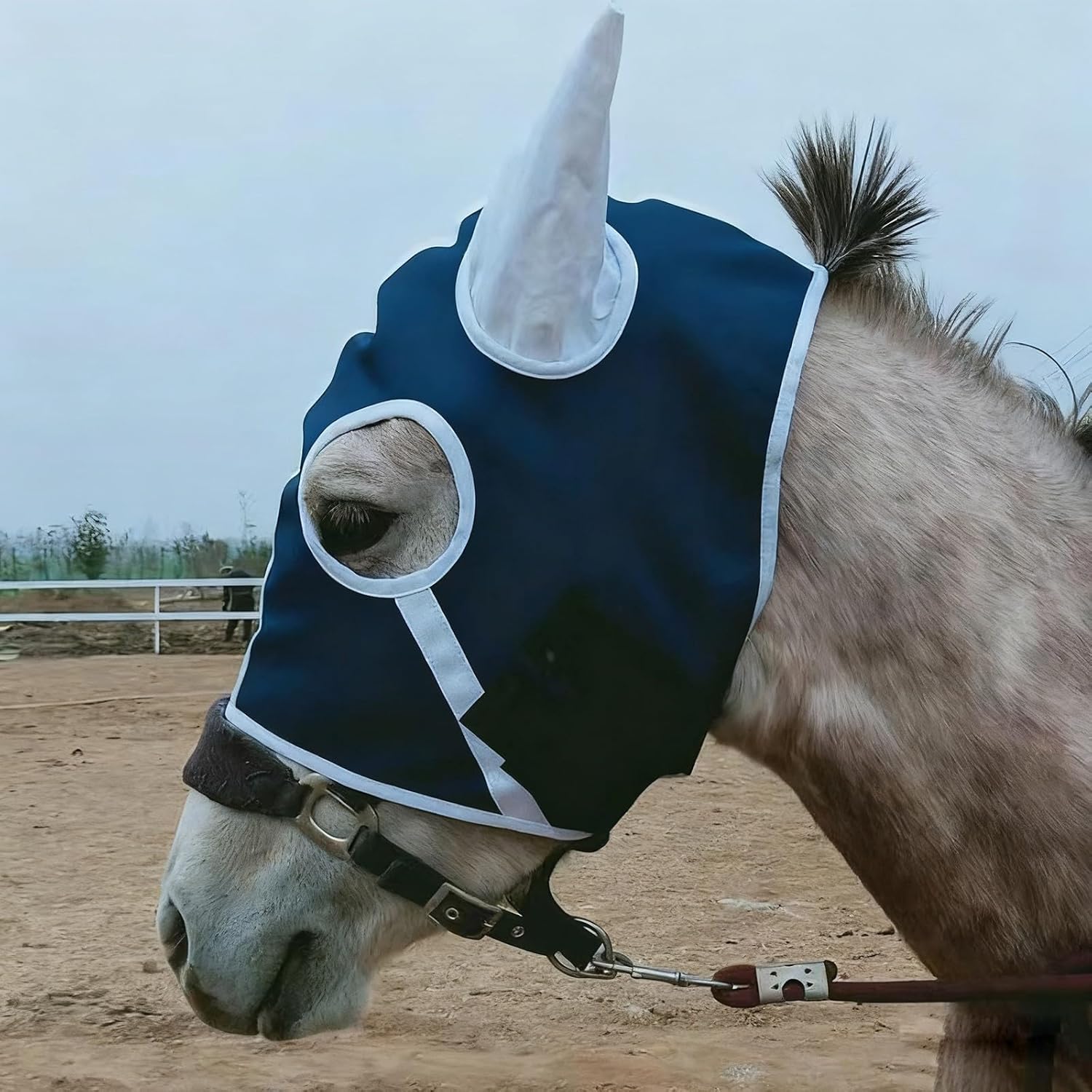 Horse Face Mask with Ears, Fly Mask for Horse and Donkey - Protects Against Rain, Snow and Cold - Keeps Warm(Blue)