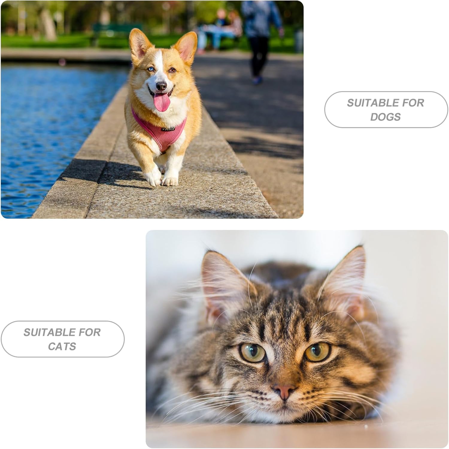 BESPORTBLE Pet Feeder Puppy Food Dispenser Cat Dog Food Dispenser Decorative Home Pet Supply