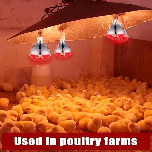 Vista 26 de VIHOSE Paquete de 2 lámparas de calor de 250 W, 120 V, R40, bombillas incandescentes de vidrio, bombillas de calefacción incandescentes para Plateado