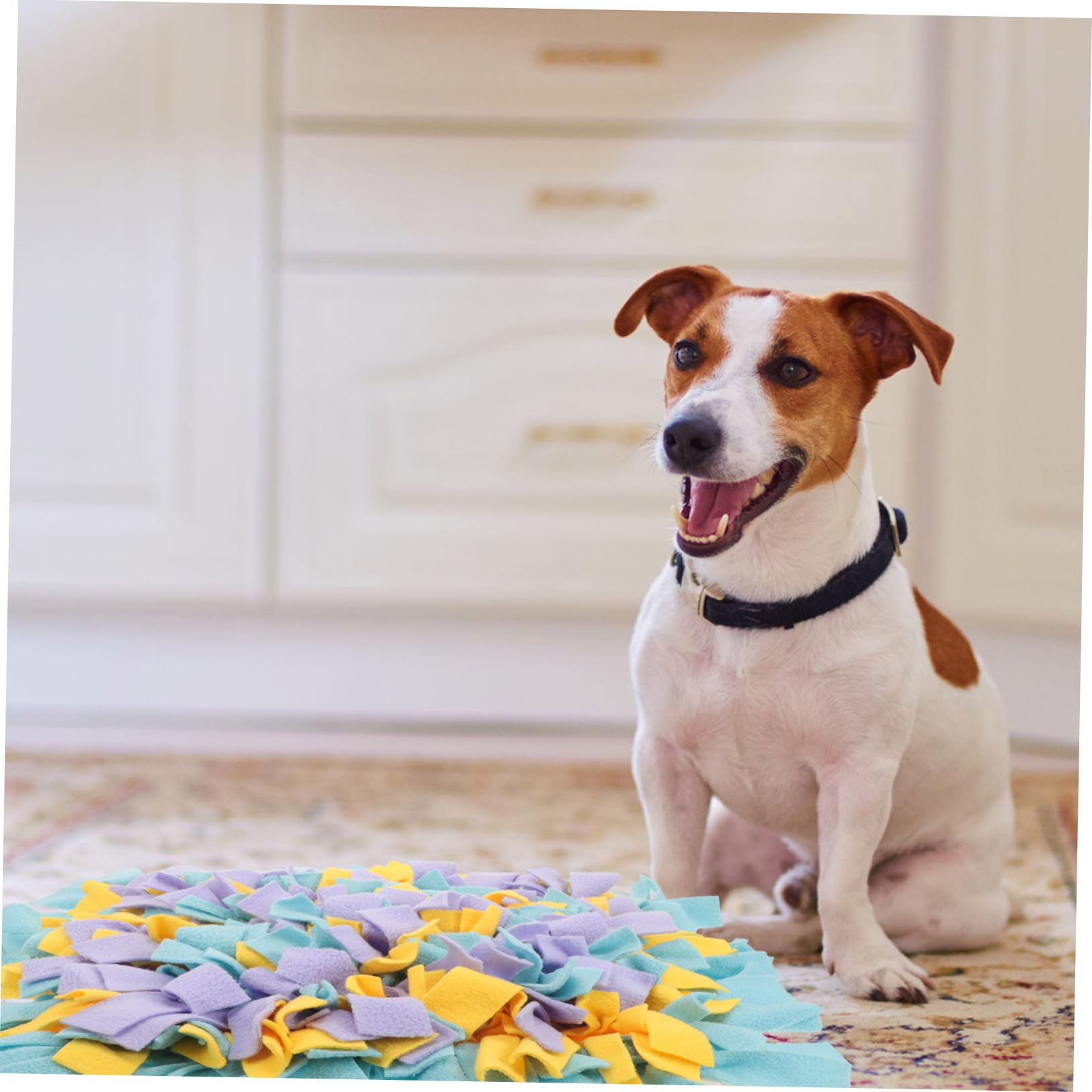 Tappetino per Cani Sniffing Training Bite-resistant in Polar Fleece
