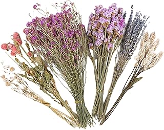 Hamster Hay Flower Bedding - Cage Decoration with Natural Theme | Hamster Accessories, Natural Dried Flowers | Decorative Accessories for Animal Habitats | For Hamsters, Gerbils, Degus or Small product image