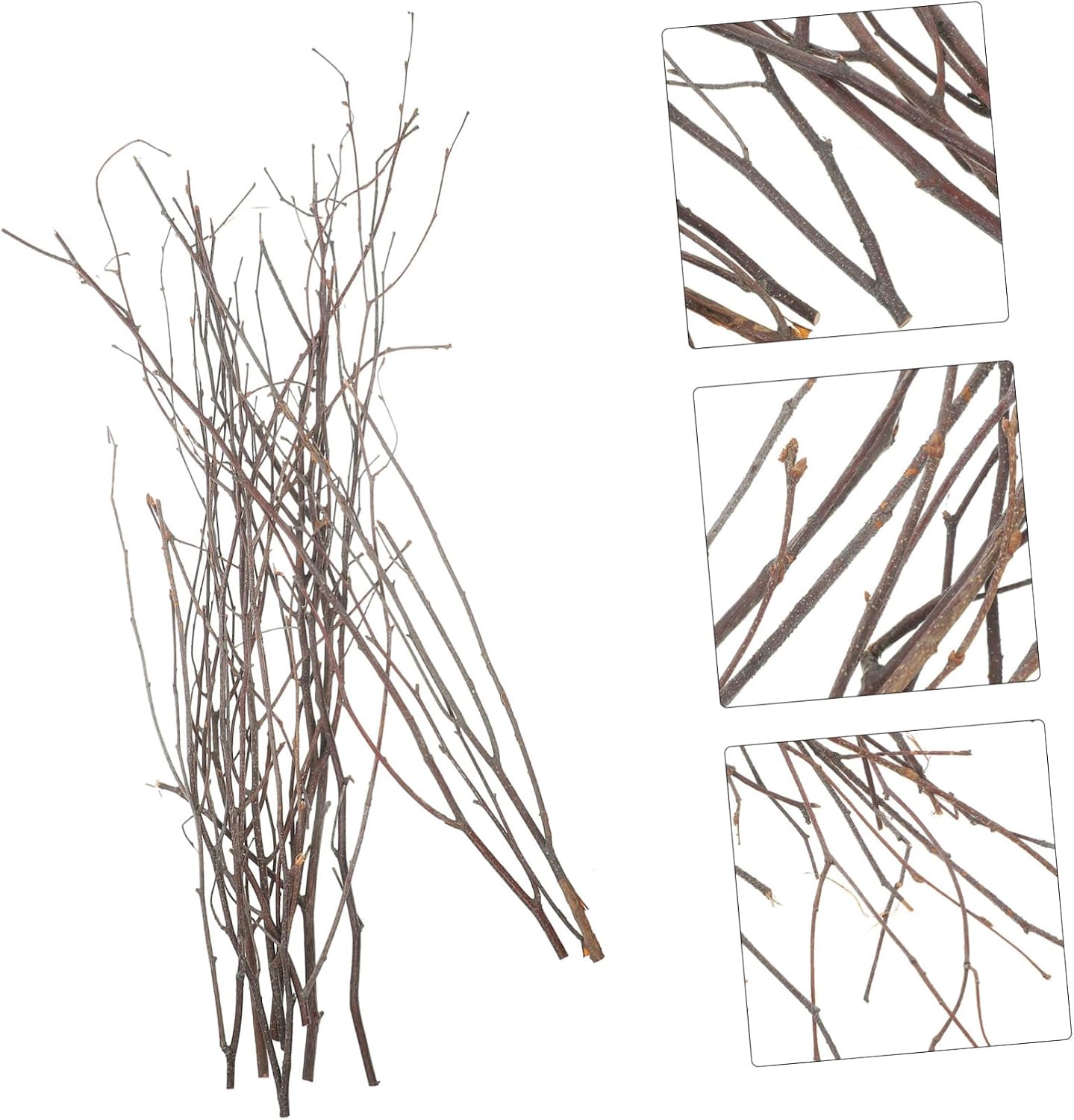 Alipis 10pcs Birch Twig Branches for Home Decoration Natural Dried Stems Versatile Decorative Branches for Vases and Centerpieces Rustic Decor for Weddings and Events